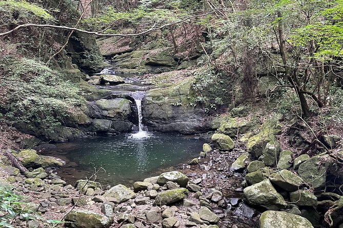 Mt. Inunaki Trekking and Waterfall Training in Izumisano Osaka - Good To Know