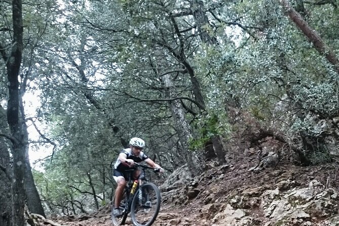 MTB Guided Tour in Bellver Forest and Na Burguesa Mount..E-MTB Op