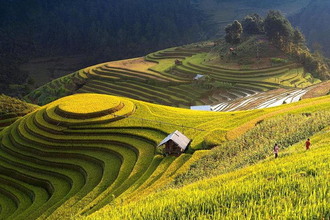 Mu Cang Chai 3 Day Tour With Terraced Fields, Trekking, Homestay - Good To Know