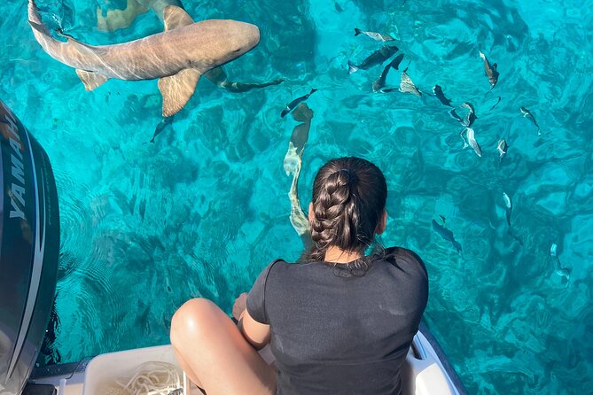 Multi-Activity Private Charter Boat in Key Largo