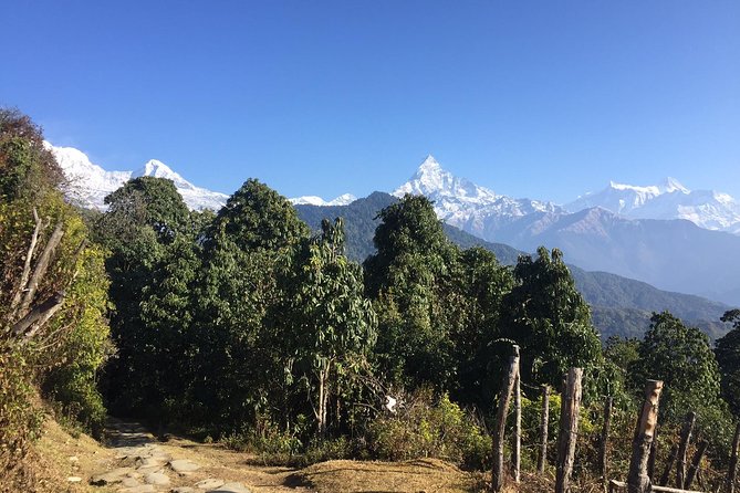 Multi-Day Ghandruk Trek in Pokhara - Trekking Itinerary