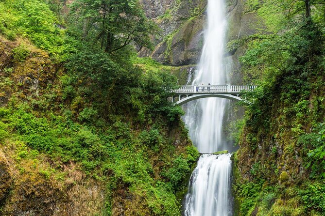 Multnomah Falls and Columbia Gorge Air Tour From Portland
