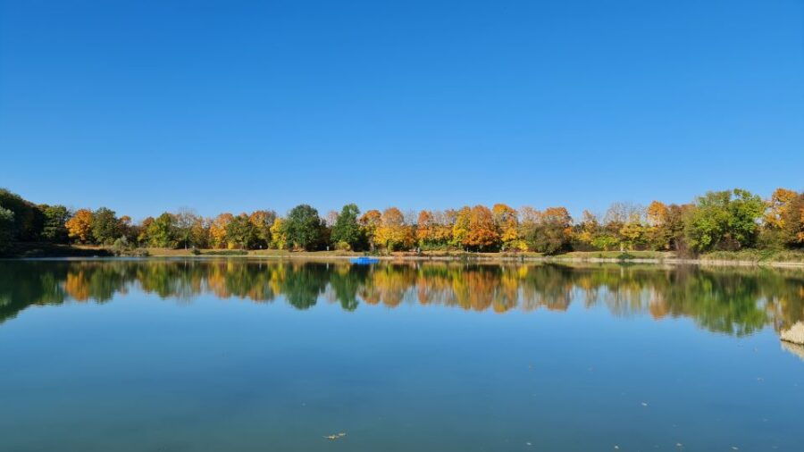 Munich 1.5-Hour Introductory Segway Tour - Good To Know