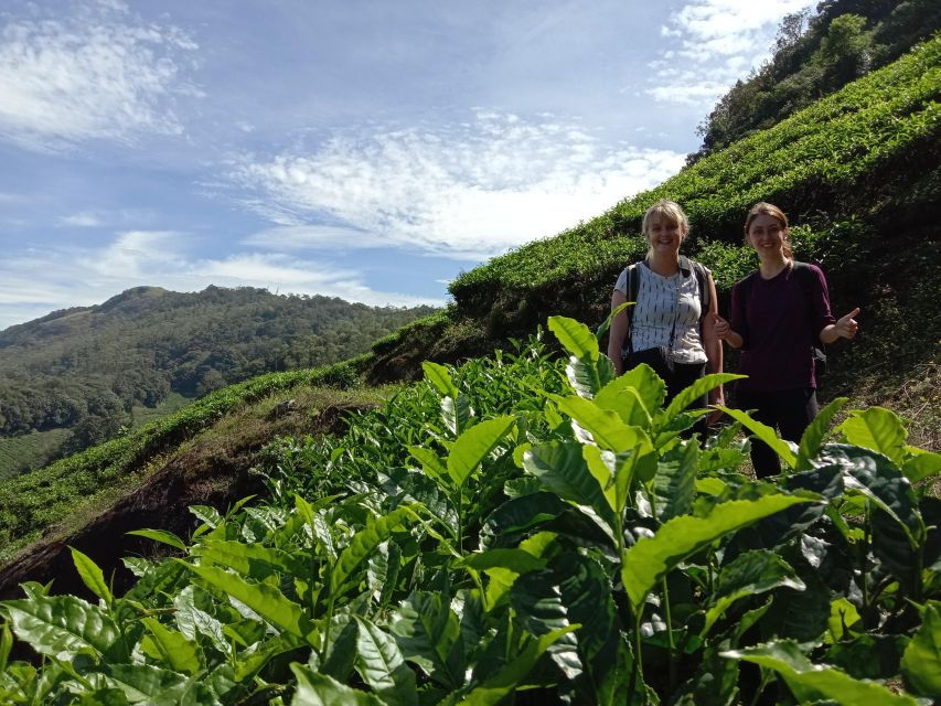 Munnar Tea Trek