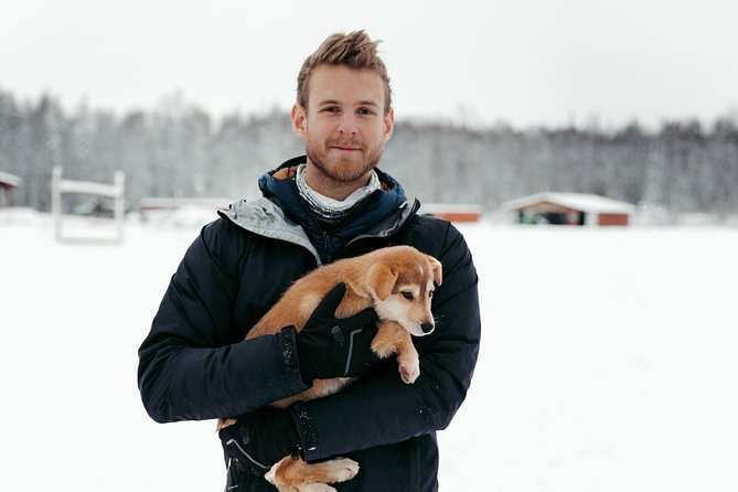 Mush Your Own Sled Dog Team (Winter Tour) in Talkeetna, Alaska - Good To Know