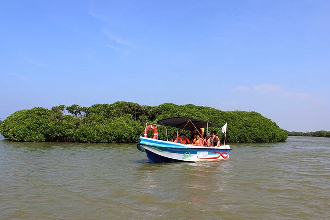 Muthurajawela Bird Watching Tour From Negombo / Colombo - Good To Know