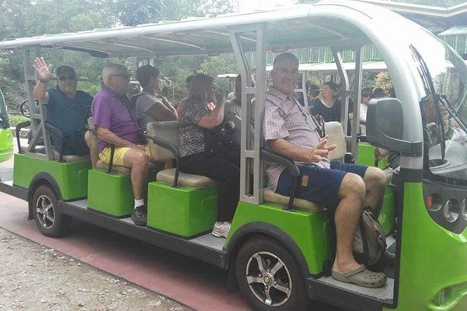 My Son Holyland Morning Private Tour & Come Back by Boat - Tour Highlights