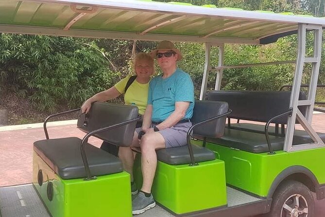 My Son Sanctuary & My Lai Massacre - Private Full Day Tour - Historical Significance