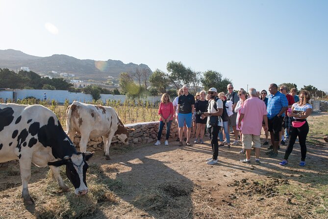 Mykonian Farm Experience - Included Transfers and Entrance Fees