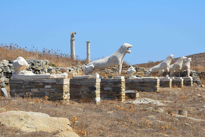 Mykonos Shore Excursion: Private Tour to Delos Island
