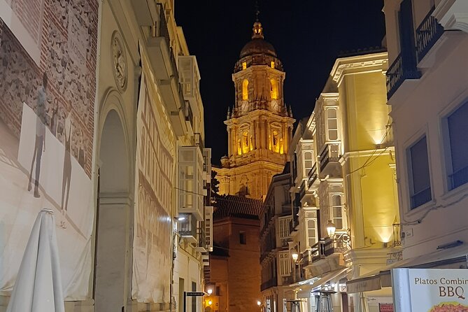 Mysterious Malaga Night Tour With Private Guide - Pickup Points and End Point