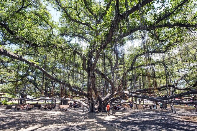 Mystery Puzzle Food Tour in Lahaina for 2 People - Good To Know