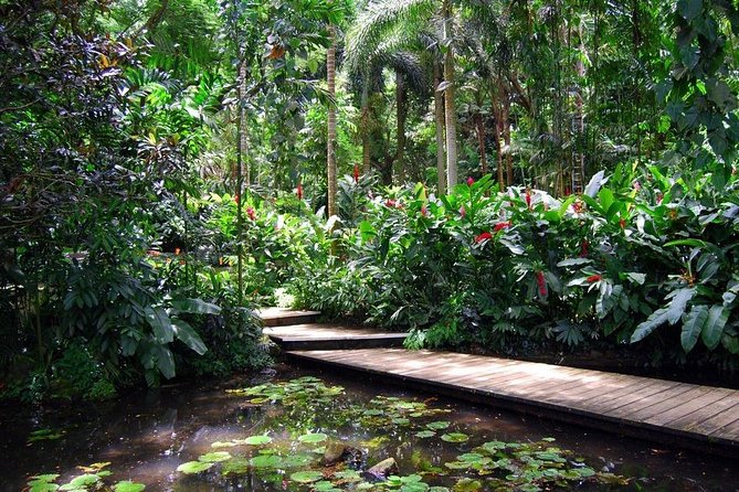 Nadi Sightseeing Including Viseisei Lookout, Village Tour, Garden & Temple Tour