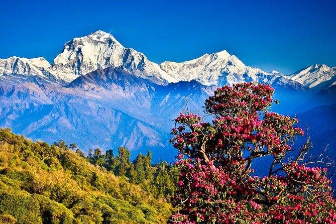 Nagarkot Chisapani Trek - Best Time to Visit