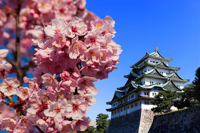 Nagoya One Day Tour With a Local: 100% Personalized & Private