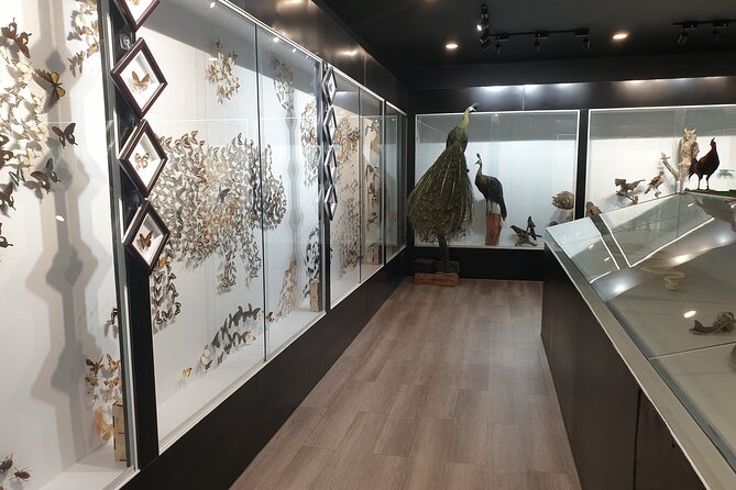 Nam Cat Tien National Park 2 Days 1 Night - Private Tour - Inclusions and Exclusions