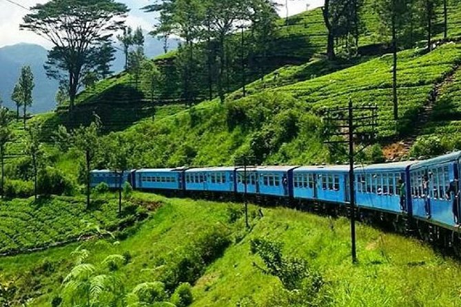 Nanu Oya to Ella Train Ride on (Train No: 1005 “Podi Menike”)