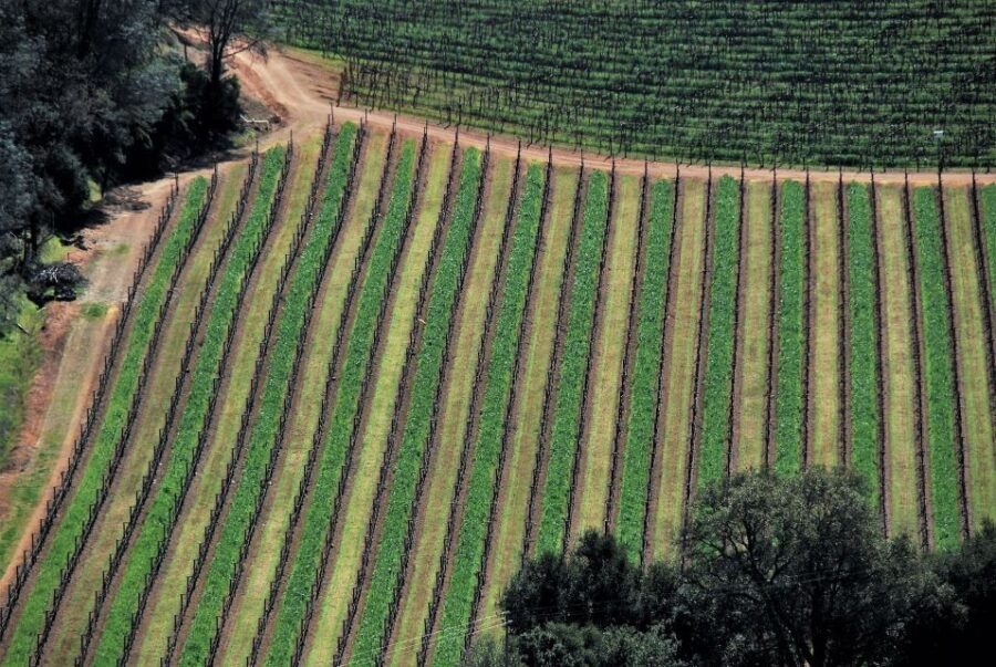 Napa Valley: Airplane Napa Valley Tour