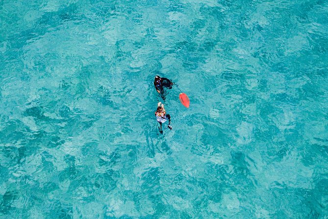 Nassau Sightseeing Tour via Coach With Snorkeling - New Providence Island