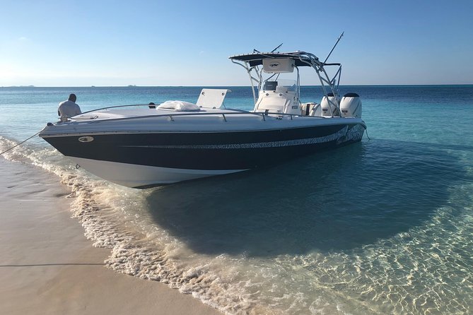 Nassau Small-Group Green Turtles Snorkel Tour - New Providence Island