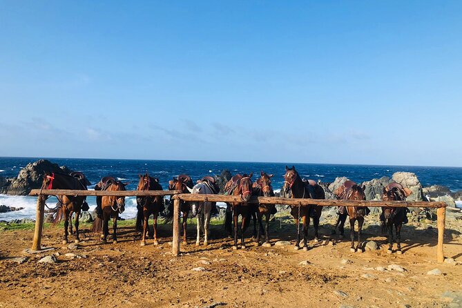 Natural Pool Horseback Riding Tour in Aruba - The Sum Up
