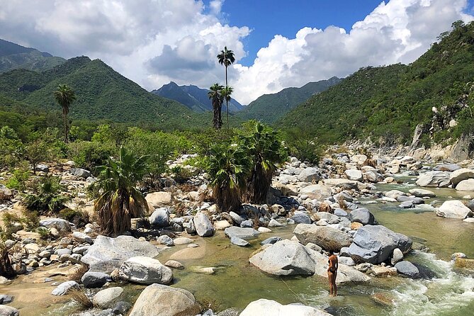Nature and Wildlife Hike in Los Cabos With Lunch  – Cabo San Lucas