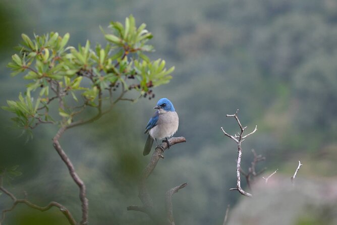 Nature Walk - Bufa Hill or Santa Rosa Area - Good To Know