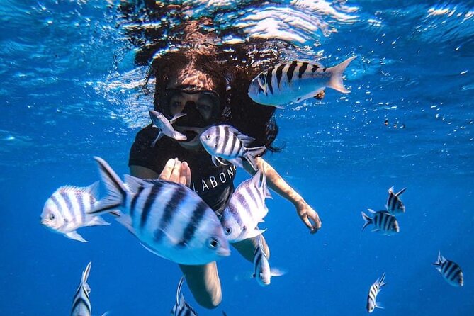 Nautical Excursion to Punaauia on the Island of Tahiti