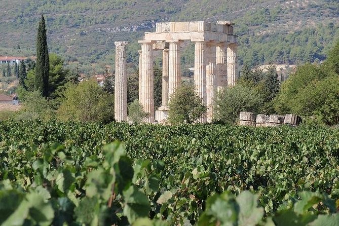 Nemea Wine Roads, the Most Famous Wine Tour in Greece - Good To Know