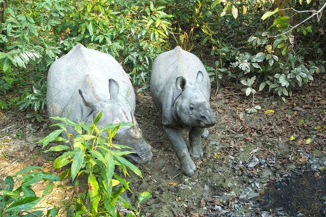 Nepal Experience Tour - Tour Duration and Visa Requirements