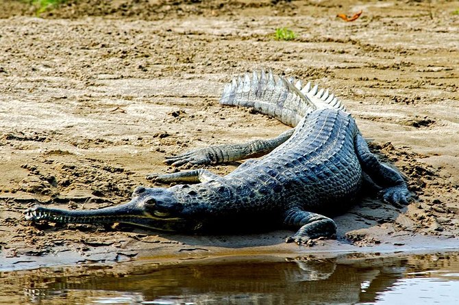 Nepal Highlights Tour - 8 Days - Good To Know