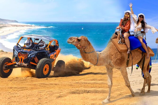 NEW! Combo Camel Ride & UTV 4X4 Adventure - Los Cabos - Good To Know