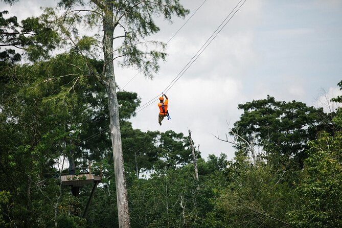 New Orleans Zipline Swamp Tour - Good To Know