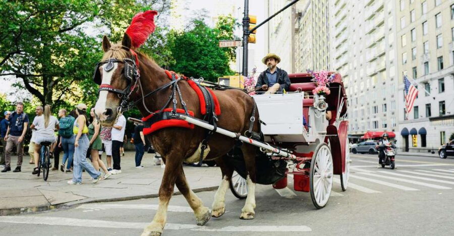 New York City: Central Park Private Horse and Carriage Tour - Good To Know