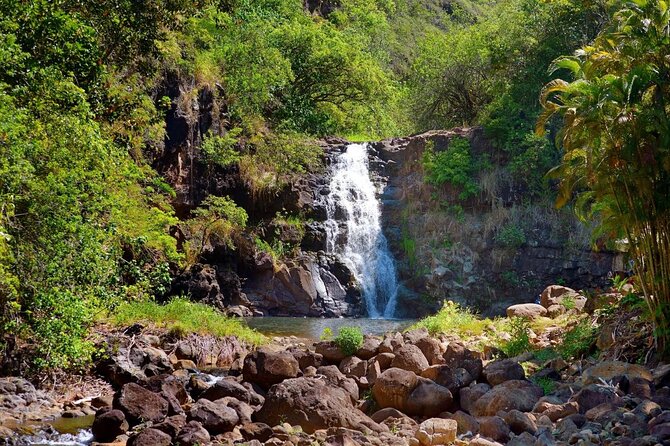 Next Level Oahu Circle Island Tour Full Day Waimea Fall Byodo - Good To Know