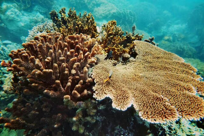 Nha Trang Snorkeling Trip