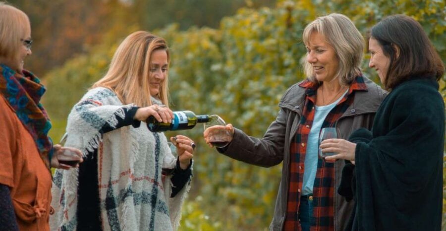 Niagara, Canada: Half-Day Winery Tour With Tastings