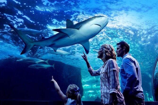 Night at the Aquarium Tour - Good To Know