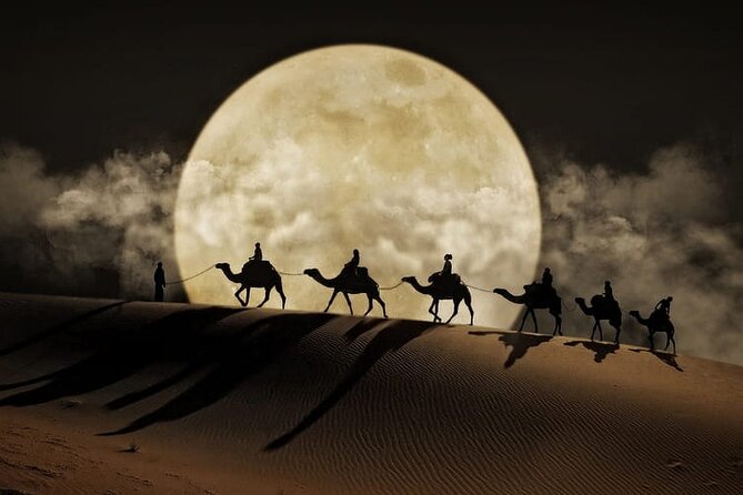 Night Desert Safari, Stargazing, Dune Driving & Inland Sea Visit