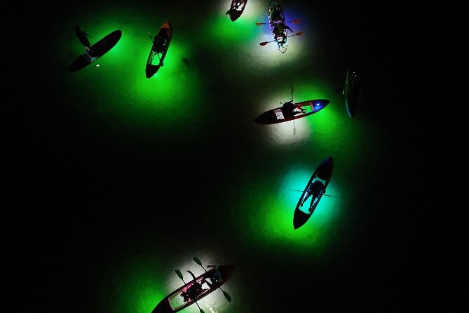 Night Mangroves LED Tour on a Glass Bottom Kayak - Good To Know