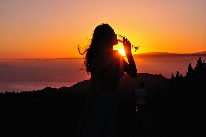 Night Sky Observation Tour With Canarian Dinner, Tenerife
