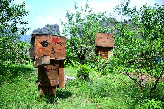 Ninh Binh 2 Days 1 Night Tour From Hanoi (Small Group of 9) - Tour Itinerary