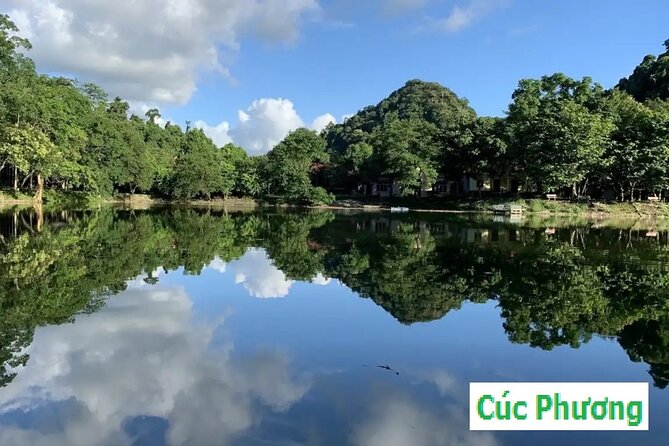 Ninh Binh Full 2 Days - CP Forest -Trang An - Hoa Lu - Mua Cave - Good To Know