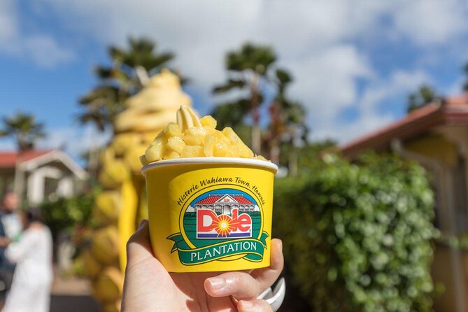 North Shore Dole Pineapple Farm Tour and Exclusive Oahu Day Tour