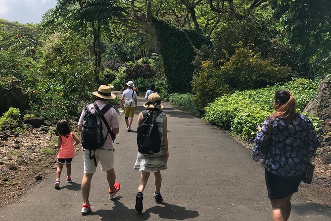 North Shore / Waimea, Falls Day & Swim With Turtles - Pricing and Reservation Details