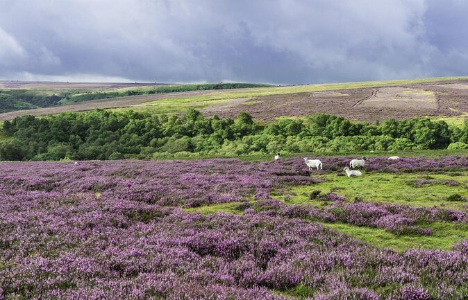 North York Moors Tour App, Hidden Gems Game and Big Britain Quiz (7 Day Pass) UK