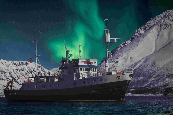 Northern Light 4 Hours Cruise With MS Strønstad