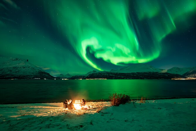 Northern Light Chase ACTT, N-C Guarantee, Light Meal, Portraits