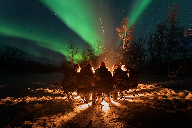 Northern Lights by Minibus. Photos Under the Lights Included. Tromso - Good To Know