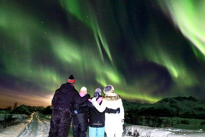 Northern Lights Chase